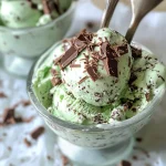 KETO MINT CHOCOLATE ICE CREAM