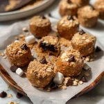 S'mores No Bake Protein Bites